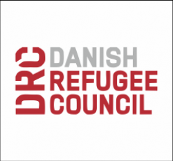 Child Protection Team Leader | Danish Refugee Council (May 2025)