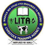 LITA: 4 New Job Vacancies Open – Apply by May 25, 2025