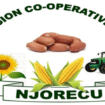 General Manager | NJORECU LTD (May 2025)