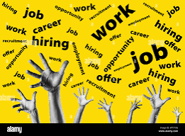 Salon Manager | FitFoeva